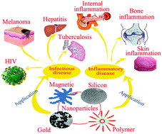 Graphical abstract: Nanocarriers in therapy of infectious and inflammatory diseases