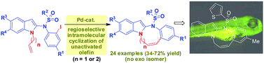 Graphical abstract: A Pd-based regioselective strategy to indole-1,2-fused 8- and 9-membered rings: their evaluation as potential scaffolds for apoptosis in zebrafish