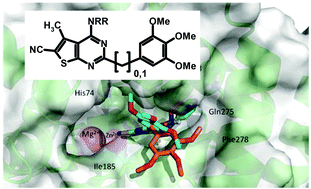 Graphical abstract: Microwave-assisted synthesis of potent PDE7 inhibitors containing a thienopyrimidin-4-amine scaffold