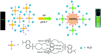 Graphical abstract: Aggregation-induced emission enhancement upon Al3+ complexation with a tetrasulfonated calix[4]bisazacrown fluorescent molecular sensor
