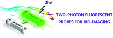 Graphical abstract: Recent development of two-photon fluorescent probes for bioimaging