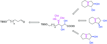 Graphical abstract: A stereoselective approach to indolizidine and pyrrolizidine alkaloids: total synthesis of (−)-lentiginosine, (−)-epi-lentiginosine and (−)-dihydroxypyrrolizidine