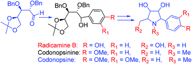 Graphical abstract: An easy route to synthetic analogues of radicamine B, codonopsine and codonopsinine from d-mannitol