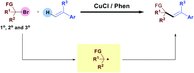 Graphical abstract: Copper-catalysed direct radical alkenylation of alkyl bromides