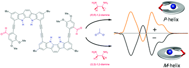 Graphical abstract: An indolocarbazole dimer as a new stereodynamic probe for chiral 1,2-diamines
