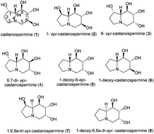 Graphical abstract: Divergent total synthesis of 1,6,8a-tri-epi-castanospermine and 1-deoxy-6,8a-di-epi-castanospermine from substituted azetidin-2-one (β-lactam), involving a cascade sequence of reactions as a key step