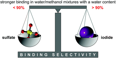 Graphical abstract: Anion binding of a neutral bis(cyclopeptide) in water–methanol mixtures containing up to 95% water