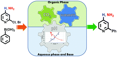 Graphical abstract: The effects of CO2 pressure and pH on the Suzuki coupling of basic nitrogen containing substrates