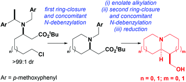 Graphical abstract: The asymmetric syntheses of pyrrolizidines, indolizidines and quinolizidines via two sequential tandem ring-closure/N-debenzylation processes