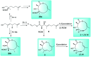 Graphical abstract: The synthesis of 3-hydroxy-2,4,8-trimethyldec-8-enolides and an approach to 3,4-dihydroxy-2,4,6,8-tetramethyldec-8-enolide