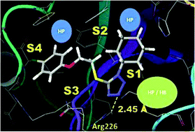 Graphical abstract: Approaches to design non-covalent inhibitors for human granzyme B (hGrB)