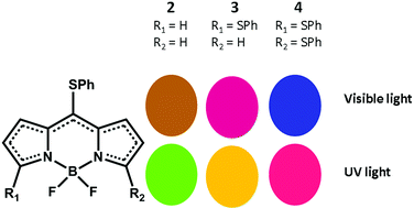Graphical abstract: Unprecedented one-pot sequential thiolate substitutions under mild conditions leading to a red emissive BODIPY dye 3,5,8-tris(PhS)-BODIPY