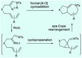 Graphical abstract: Rhodium(ii)-catalyzed intramolecular formal [4 + 3] cycloadditions of dienyltriazoles: rapid access to fused 2,5-dihydroazepines