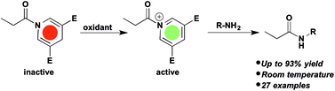Graphical abstract: Oxidative activation of dihydropyridine amides to reactive acyl donors