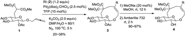 Graphical abstract: Palladium(0)-catalyzed synthesis of cyclic glucosides