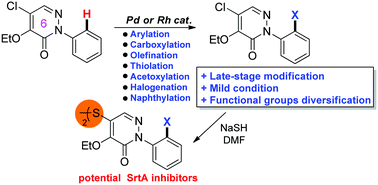 Graphical abstract: Late-stage diversification of biologically active pyridazinones via a direct C–H functionalization strategy