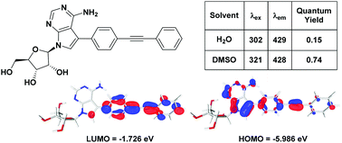 Graphical abstract: Design and synthesis of fluorescent 7-deazaadenosine nucleosides containing π-extended diarylacetylene motifs