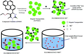 Graphical abstract: Fluorescent organic nanoparticles of dihydropyrimidone derivatives for selective recognition of iodide using a displacement assay: application of the sensors in water and biological fluids