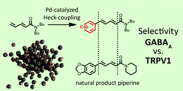 Graphical abstract: Developing piperine towards TRPV1 and GABAA receptor ligands – synthesis of piperine analogs via Heck-coupling of conjugated dienes