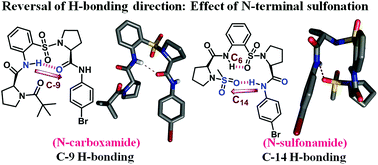 Graphical abstract: Reversal of H-bonding direction by N-sulfonation in a synthetic reverse-turn peptide motif