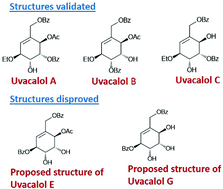 Graphical abstract: Total syntheses of five uvacalols: structural validation of uvacalol A, uvacalol B and uvacalol C and disproval of the structures of uvacalol E and uvacalol G