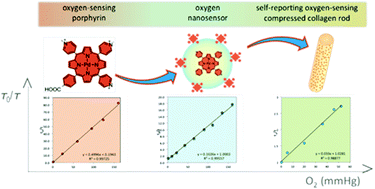 Graphical abstract: Conjugatable water-soluble Pt(ii) and Pd(ii) porphyrin complexes: novel nano- and molecular probes for optical oxygen tension measurement in tissue engineering