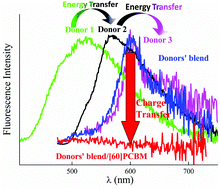 Graphical abstract: Quantitative cascade energy transfer in semiconductor thin films