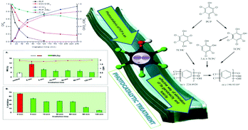Graphical abstract: Photocatalytic degradation of pentachlorophenol by N–F–TiO2: identification of intermediates, mechanism involved, genotoxicity and ecotoxicity evaluation