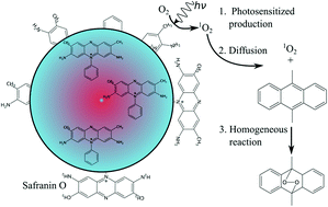 Graphical abstract: Photosensitized oxidation of 9,10-dimethylanthracene with singlet oxygen by using a safranin O/silica composite under visible light