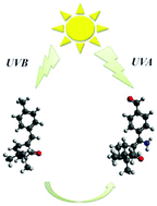 Graphical abstract: A theoretical study of the UV absorption of 4-methylbenzylidene camphor: from the UVB to the UVA region