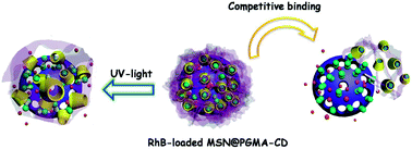 Graphical abstract: Stimuli-responsive biocompatible nanovalves based on β-cyclodextrin modified poly(glycidyl methacrylate)
