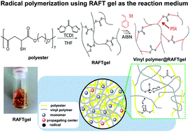 Graphical abstract: A polyester–polystyrene hybrid connected by dynamic covalent bonds prepared via radical polymerization of styrene in a “RAFT gel”