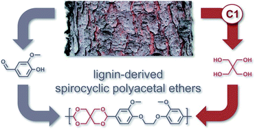 Graphical abstract: Cyclic and spirocyclic polyacetal ethers from lignin-based aromatics