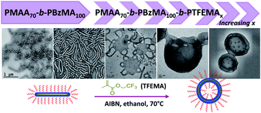 Graphical abstract: Poly(methacrylic acid)-based AB and ABC block copolymer nano-objects prepared via RAFT alcoholic dispersion polymerization