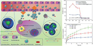 Graphical abstract: Tumor-targeted aggregation of pH-sensitive nanocarriers for enhanced retention and rapid intracellular drug release