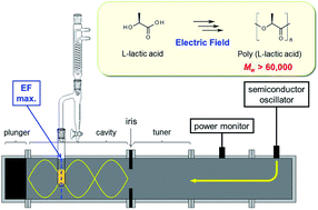 Graphical abstract: Microwave-assisted solution polycondensation of l-lactic acid using a Dean–Stark apparatus for a non-thermal microwave polymerization effect induced by the electric field