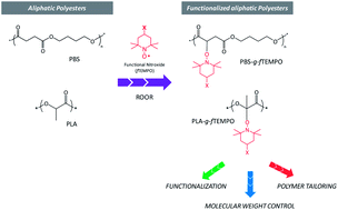Graphical abstract: Functionalization of aliphatic polyesters by nitroxide radical coupling