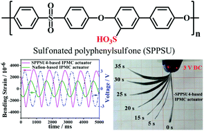 Graphical abstract: The enhanced actuation response of an ionic polymer–metal composite actuator based on sulfonated polyphenylsulfone
