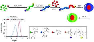 Graphical abstract: Nitroxide-mediated surfactant-free emulsion copolymerization of methyl methacrylate and styrene using poly(2-(diethyl)aminoethyl methacrylate-co-styrene) as a stimuli-responsive macroalkoxyamine