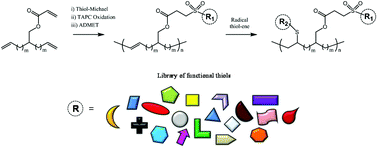 Graphical abstract: Functional α,ω-dienes via thiol-Michael chemistry: synthesis, oxidative protection, acyclic diene metathesis (ADMET) polymerization and radical thiol–ene modification