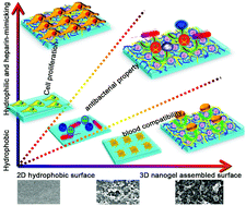 Graphical abstract: Surface-engineered nanogel assemblies with integrated blood compatibility, cell proliferation and antibacterial property: towards multifunctional biomedical membranes