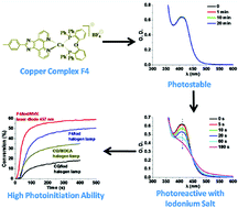 Graphical abstract: Copper complexes: the effect of ligands on their photoinitiation efficiencies in radical polymerization reactions under visible light