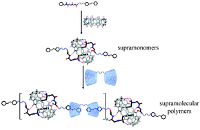 Graphical abstract: Supramolecular polymerization of supramonomers: a way for fabricating supramolecular polymers