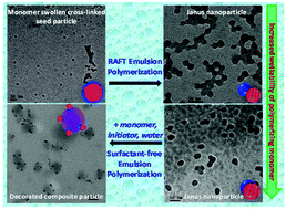 Graphical abstract: Synthesis of polymeric janus nanoparticles and their application in surfactant-free emulsion polymerizations