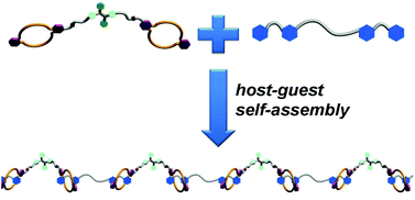 Graphical abstract: A fluorescent supramolecular polymer with aggregation induced emission (AIE) properties formed by crown ether-based host–guest interactions