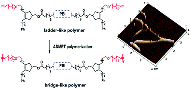 Graphical abstract: A bridge-like polymer synthesized by tandem metathesis cyclopolymerization and acyclic diene metathesis polymerization