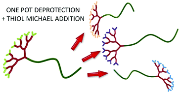 Graphical abstract: ‘One-pot’ sequential deprotection/functionalisation of linear-dendritic hybrid polymers using a xanthate mediated thiol/Michael addition