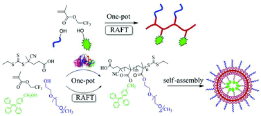 Graphical abstract: Amphiphilic fluorescent copolymers via one-pot combination of chemoenzymatic transesterification and RAFT polymerization: synthesis, self-assembly and cell imaging