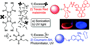 Graphical abstract: Functional, sub-100 nm polymer nanoparticles via thiol–ene miniemulsion photopolymerization