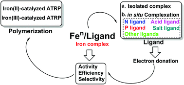 Graphical abstract: Iron-catalyzed atom transfer radical polymerization